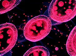 Cells illustration
