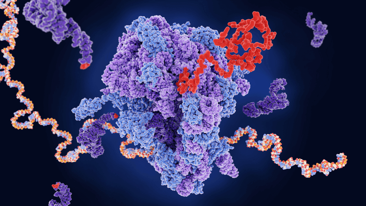 An image uploaded to Strapi called project_artan-bio-mutation-specific-codon-suppression-for-aging-and-longevity_hero