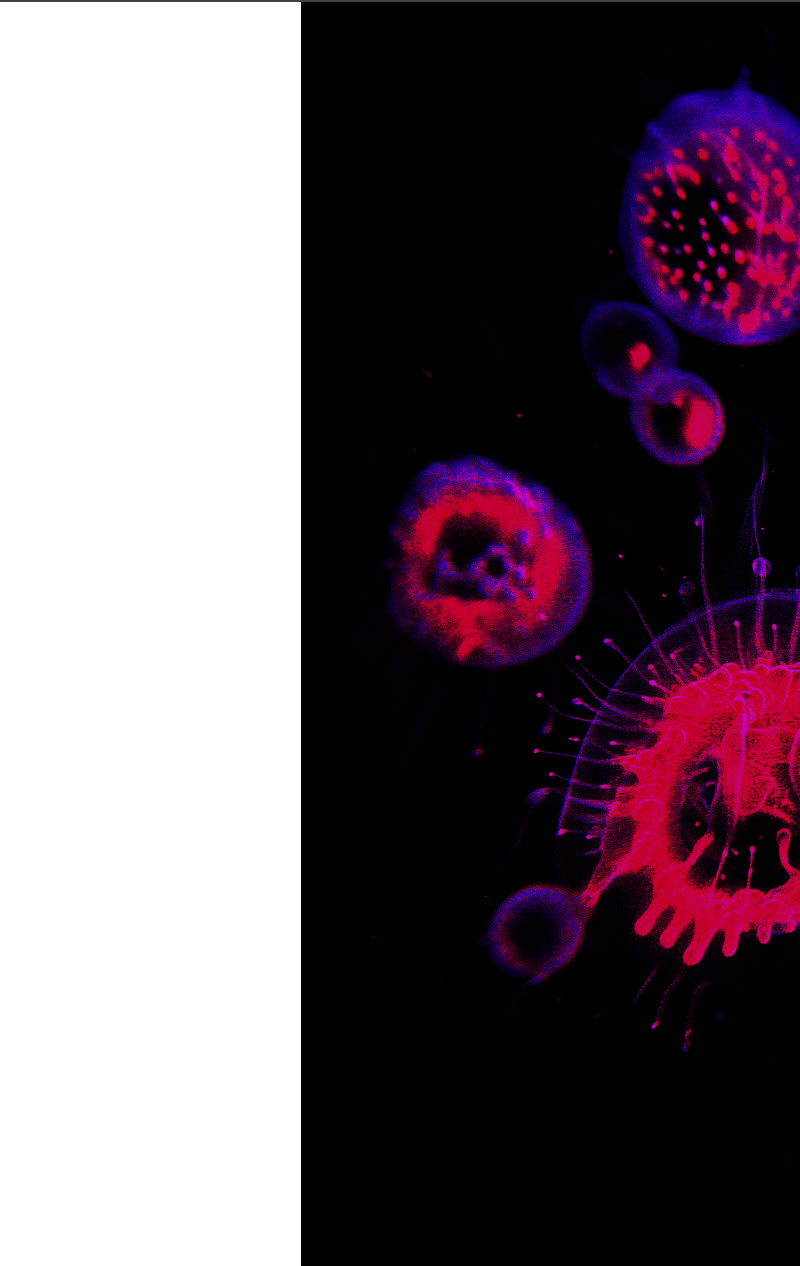 Scientific background