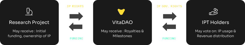 IPT funding diagram showing relationship between Research Project, VitaDAO, and IPT Holders