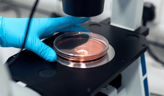 VitaLabs research laboratory