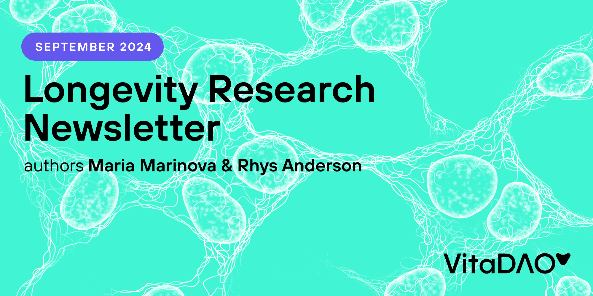 An image uploaded to Strapi called article_september-2024-longevity-research-newsletter_hero