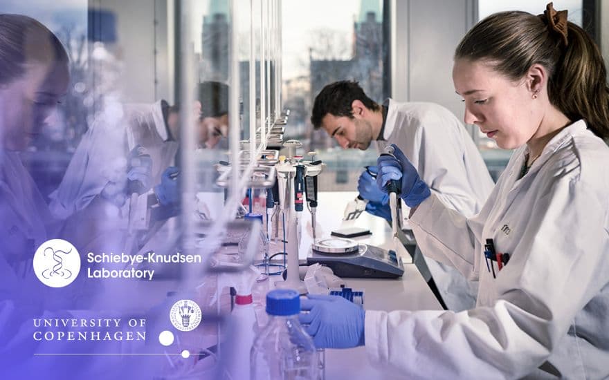 An image uploaded to Strapi called article_announcing-the-first-vitadao-research-project-the-longevity-molecule_hero