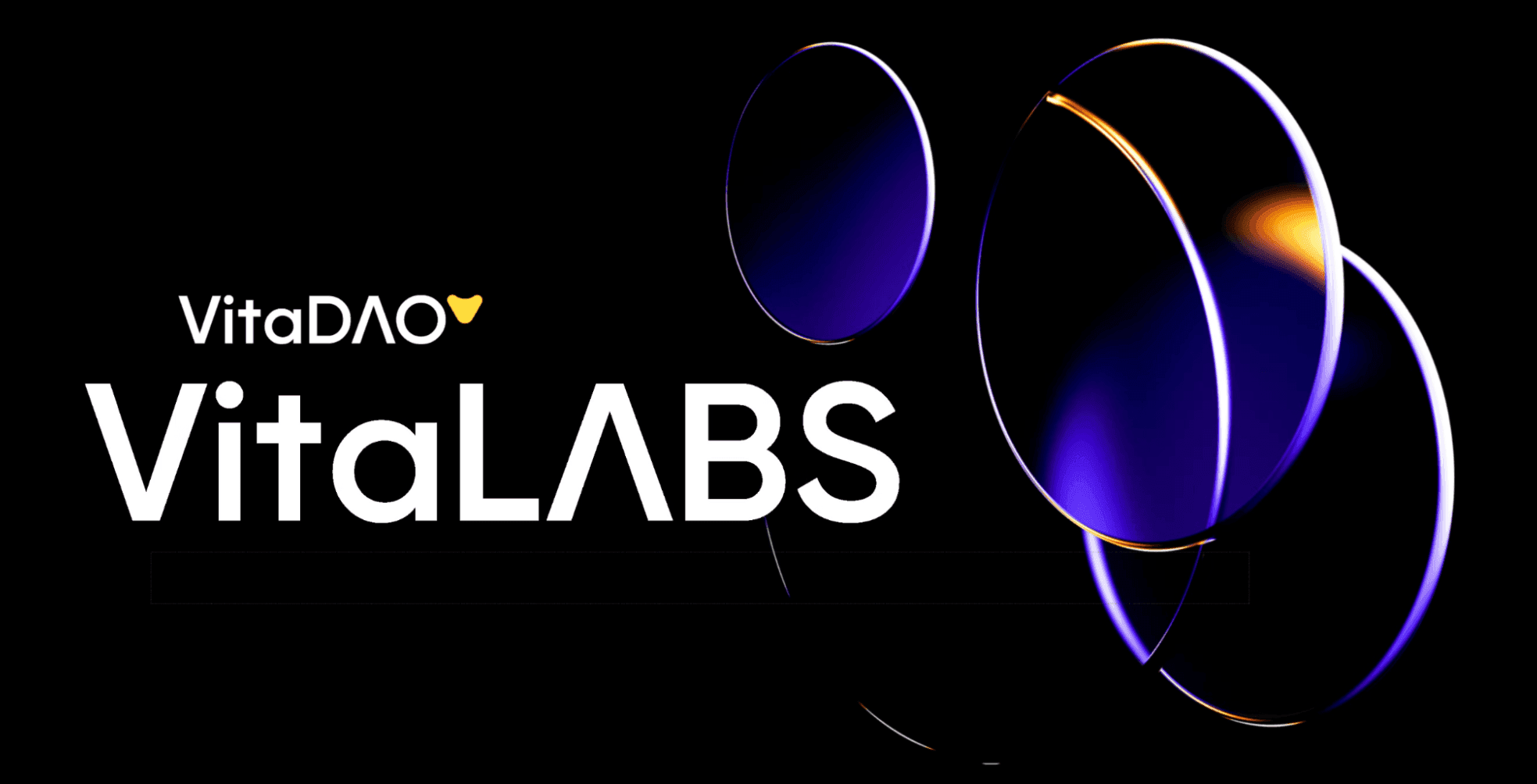 An image uploaded to Strapi called article_introducing-vitalabs_hero