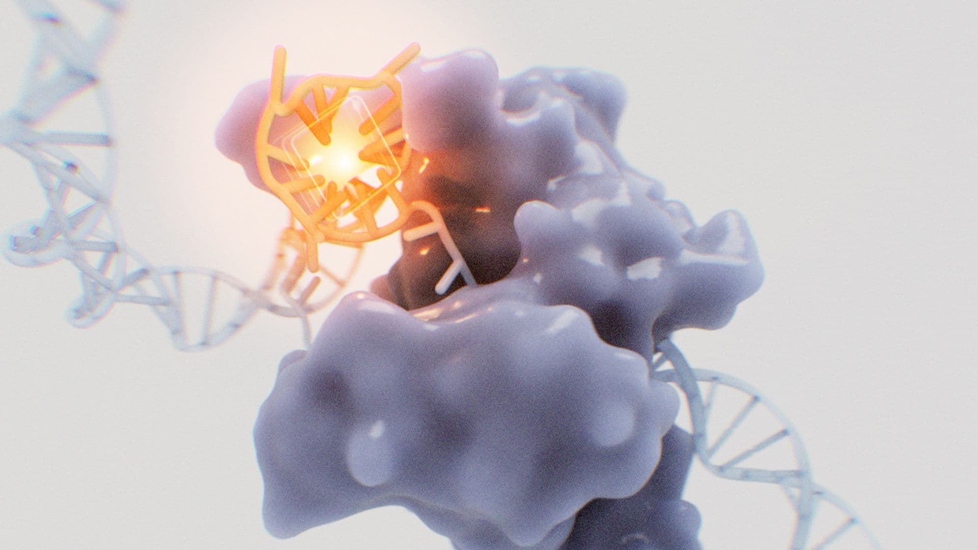 An image uploaded to Strapi called project_probing-dna-quadruplexes-in-age-related-proteostasis_hero