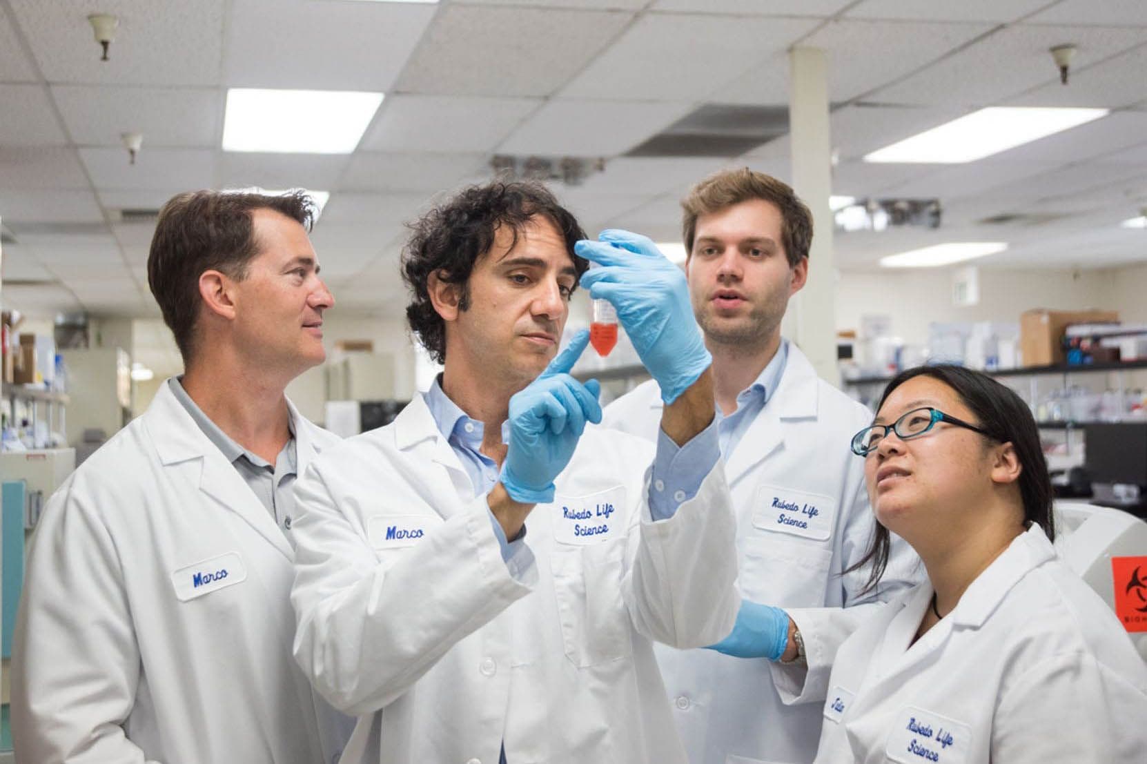 An image uploaded to Strapi called project_rubedo-life_hero