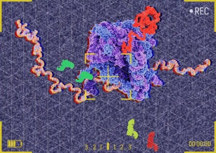 An image uploaded to Strapi called project_transfidelity_hero